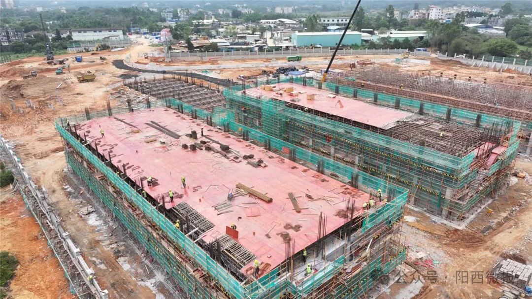 百千万工程阳西建设智慧粮库守牢粮食安全底线