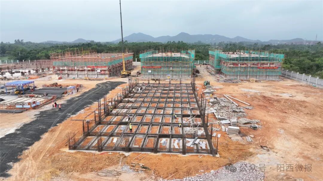 百千万工程阳西建设智慧粮库守牢粮食安全底线