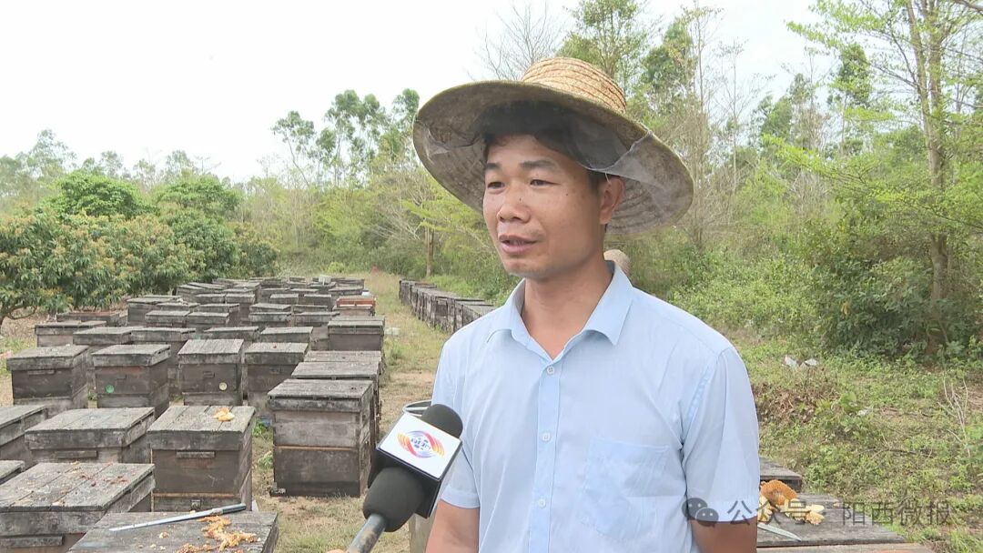 阳西县人民政府网站