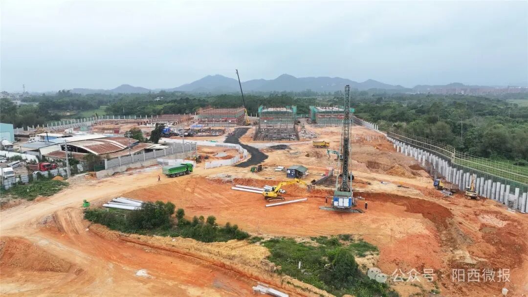 百千万工程阳西建设智慧粮库守牢粮食安全底线