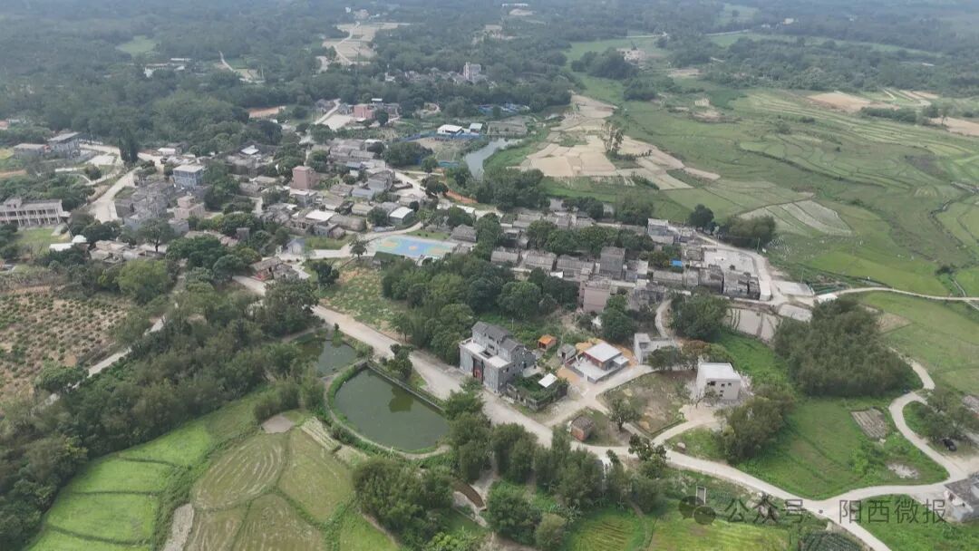 阳西加强清明期间森林防火宣传