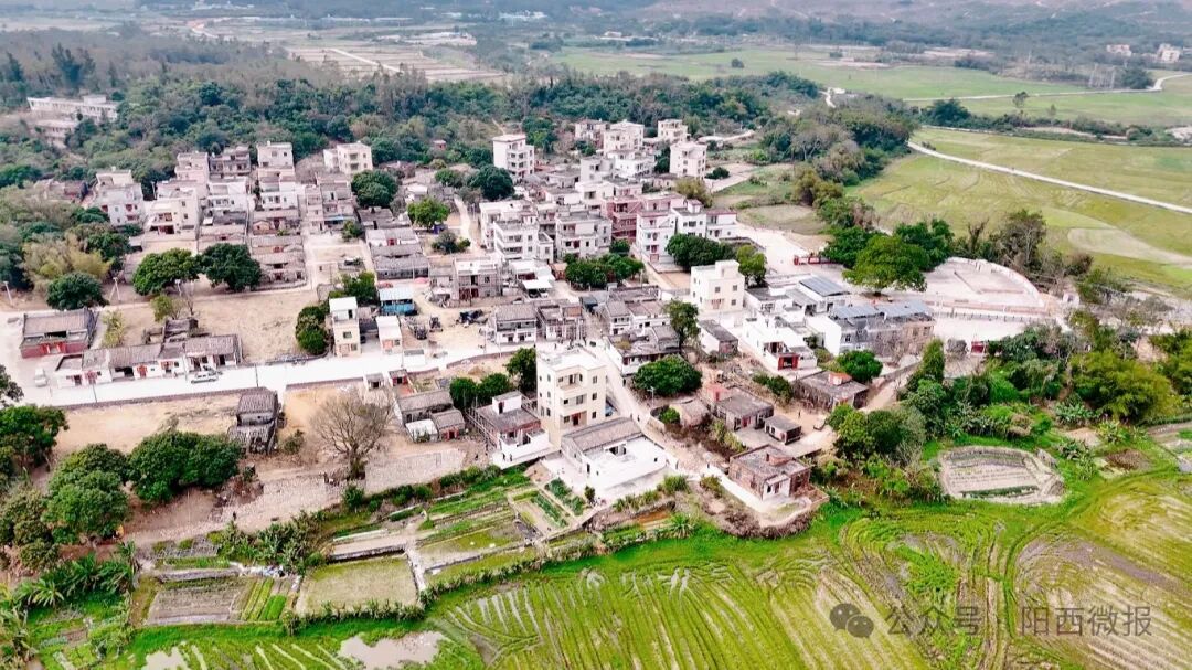 百千万工程溪头镇干群合力清洁镇村面貌一新