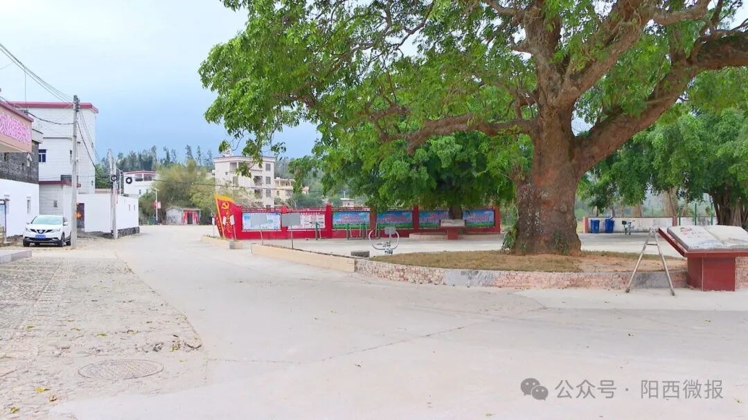 百千万工程溪头镇干群合力清洁镇村面貌一新