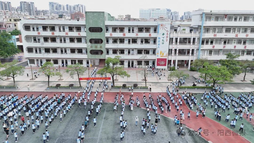 阳西县实验小学的党支部书记陈仲升是一名科技教育工作者,他手握科学
