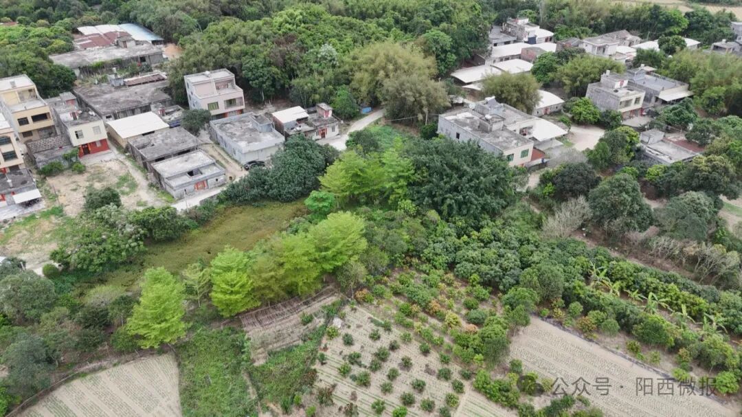 【宜居阳西·百岁寿星】百岁抗战老兵关允芬 -阳西县人民政府网站