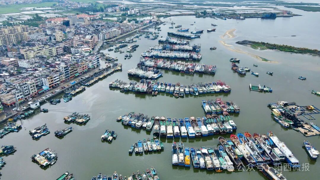 您当前所在位置:>首页>新闻>阳西新闻> 据了解,为期三个半月的2024年