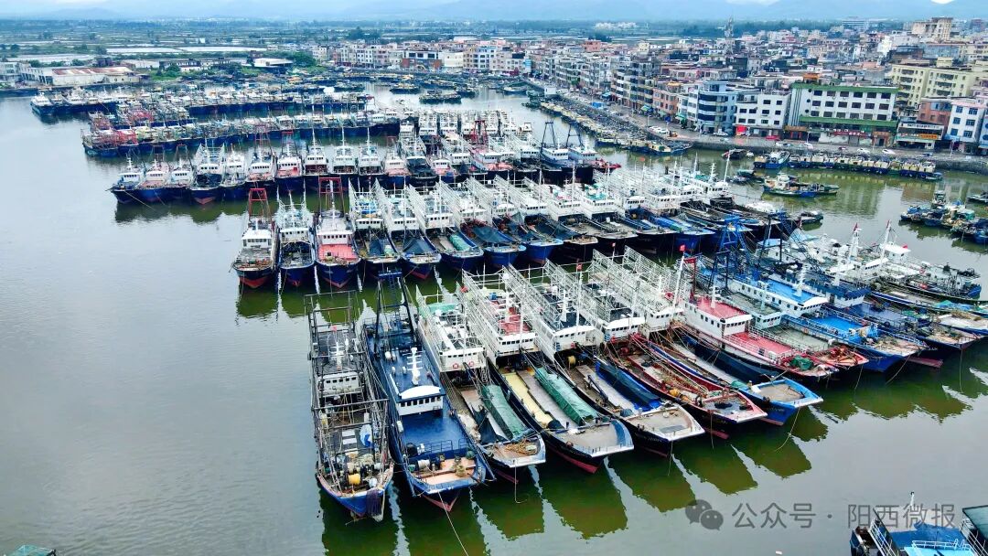 您当前所在位置:>首页>新闻>阳西新闻> 阳西县融媒体中心记者 李甜