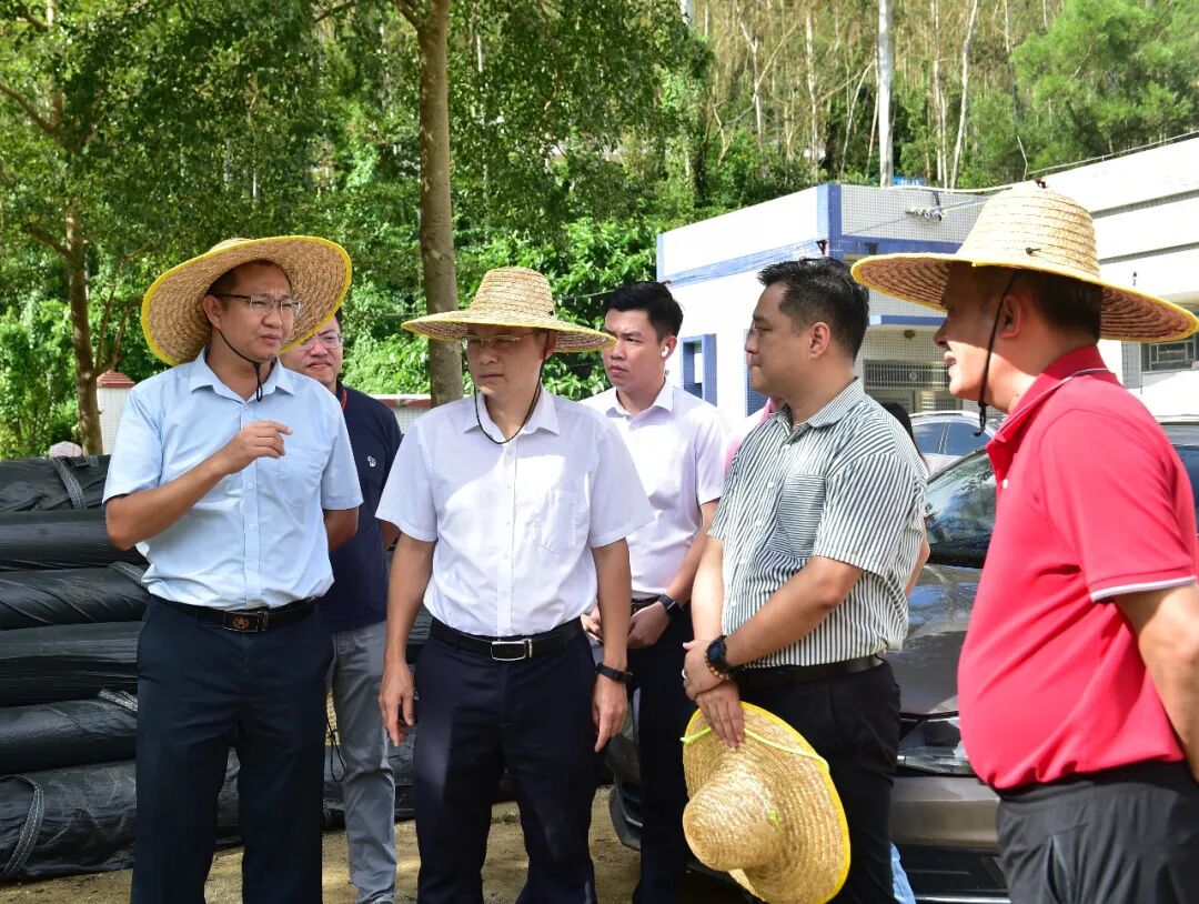 黄家新调研检查生活垃圾卫生填埋场运营管理工作 -阳西县人民政府网站