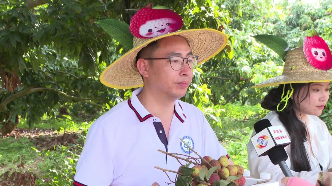 线上线下齐助荔阳西新阶联积极助力荔枝销售