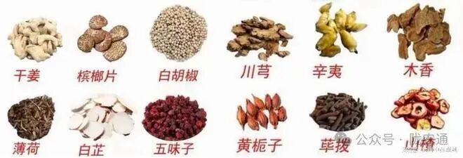 2024年紧缺中药材种植项目哪种最好（国家扶持的种植药材有哪些）