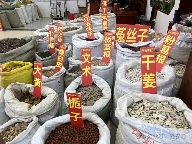 【种植指南】种什么药材最快又值钱？一年一收的药材推荐！