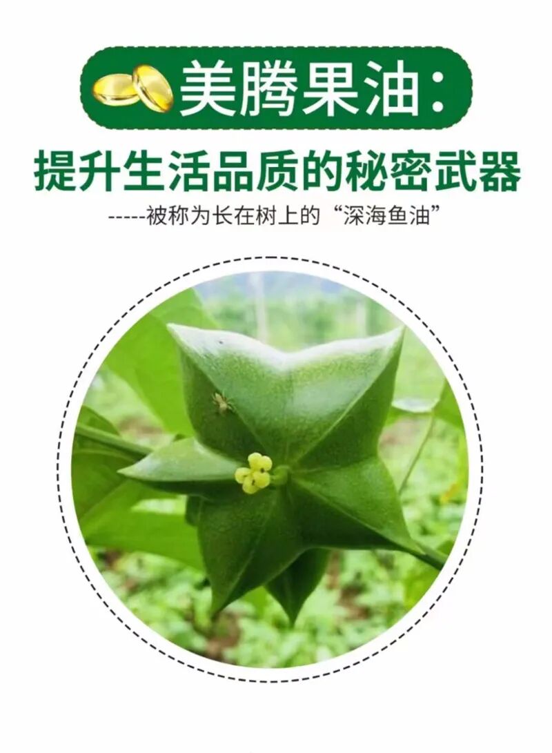 什么德国凝胶⑦德国MK果蔬酵素凝胶糖果 ｜ ​减脂不反弹 赶走小肚腩_https://www.jmylbn.com_新闻资讯_第45张