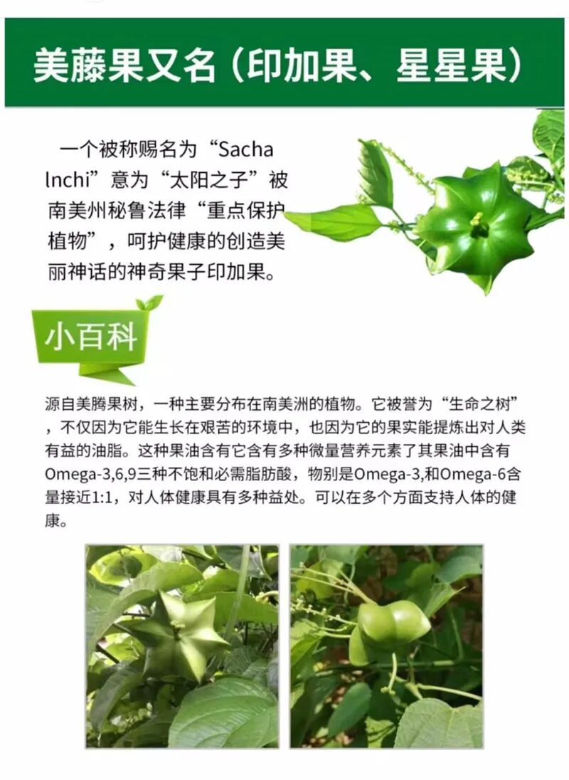 什么德国凝胶⑦德国MK果蔬酵素凝胶糖果 ｜ ​减脂不反弹 赶走小肚腩_https://www.jmylbn.com_新闻资讯_第46张