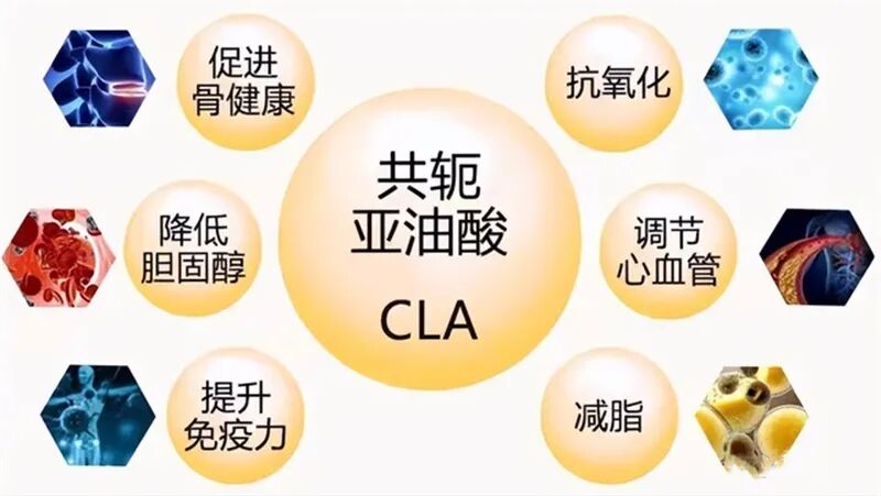 什么德国凝胶⑦德国MK果蔬酵素凝胶糖果 ｜ ​减脂不反弹 赶走小肚腩_https://www.jmylbn.com_新闻资讯_第26张