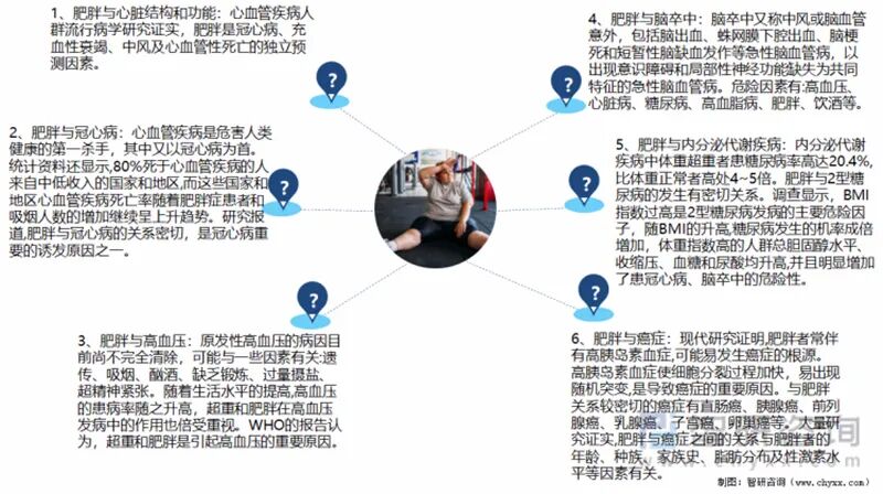 什么德国凝胶⑦德国MK果蔬酵素凝胶糖果 ｜ ​减脂不反弹 赶走小肚腩_https://www.jmylbn.com_新闻资讯_第24张