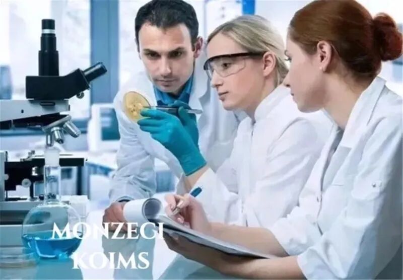 什么德国凝胶⑦德国MK果蔬酵素凝胶糖果 ｜ ​减脂不反弹 赶走小肚腩_https://www.jmylbn.com_新闻资讯_第20张