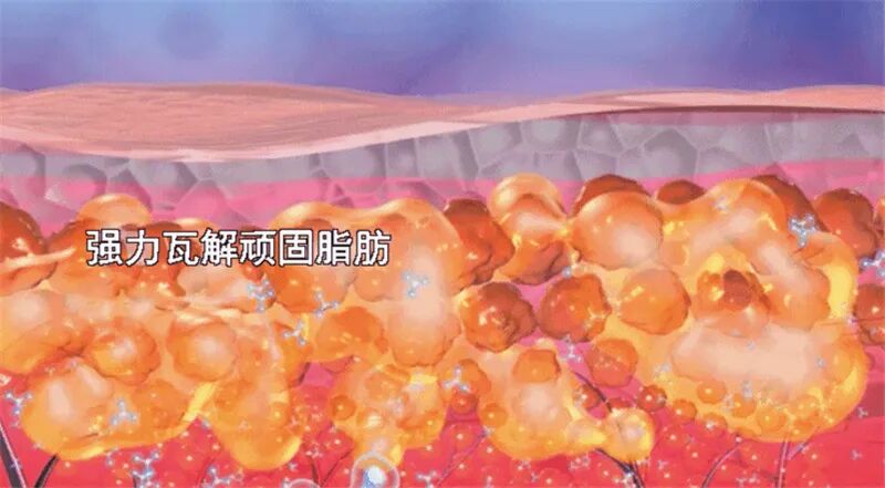 什么德国凝胶⑦德国MK果蔬酵素凝胶糖果 ｜ ​减脂不反弹 赶走小肚腩_https://www.jmylbn.com_新闻资讯_第42张