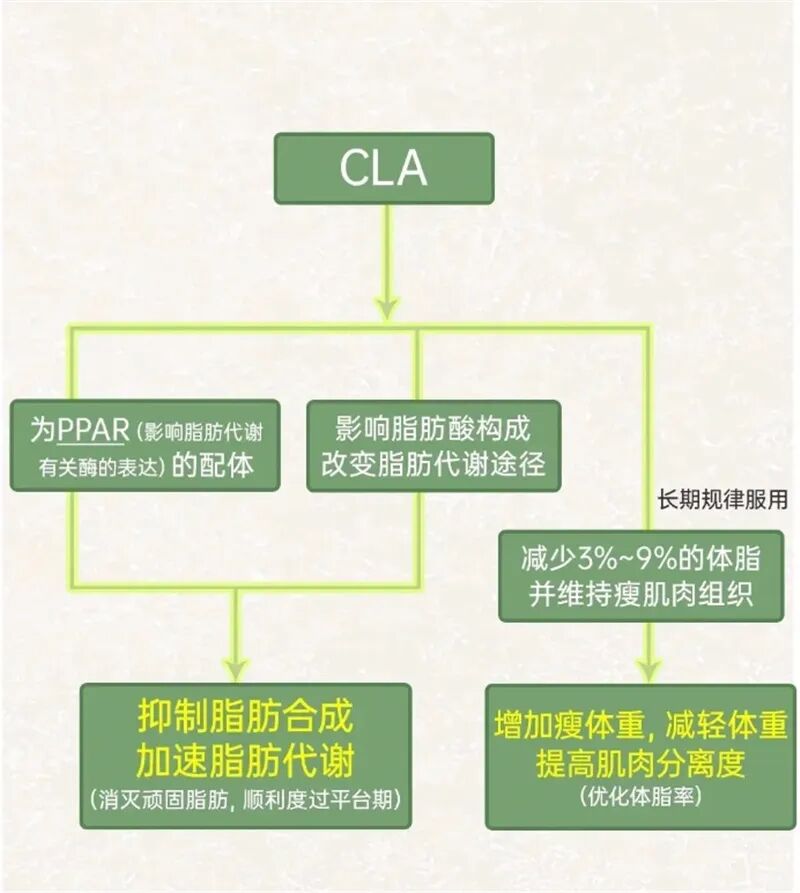 什么德国凝胶⑦德国MK果蔬酵素凝胶糖果 ｜ ​减脂不反弹 赶走小肚腩_https://www.jmylbn.com_新闻资讯_第37张