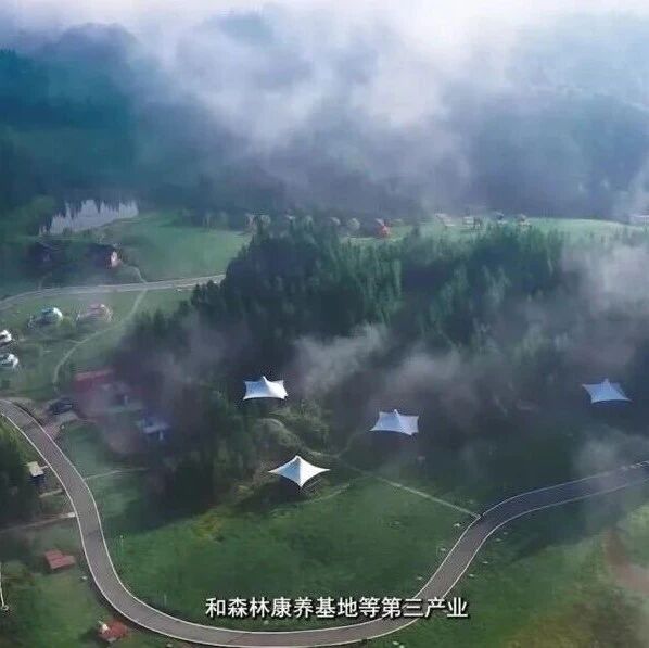 重庆民营经济国际合作商会