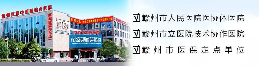 耳朵内窥镜什么样【红旗科普】一文读懂 ｜ 耳内窥镜可以做哪些检查？_https://www.jmylbn.com_新闻资讯_第3张