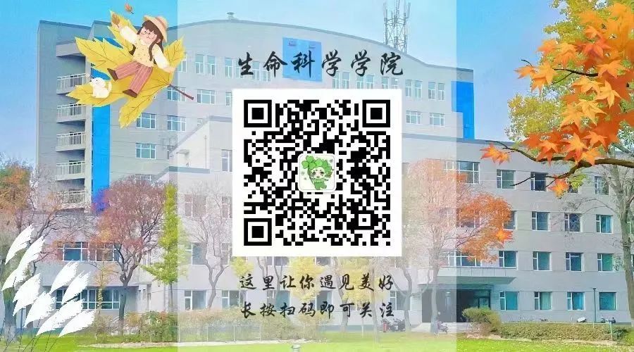 学校清明节祭奠革命先烈活动意义