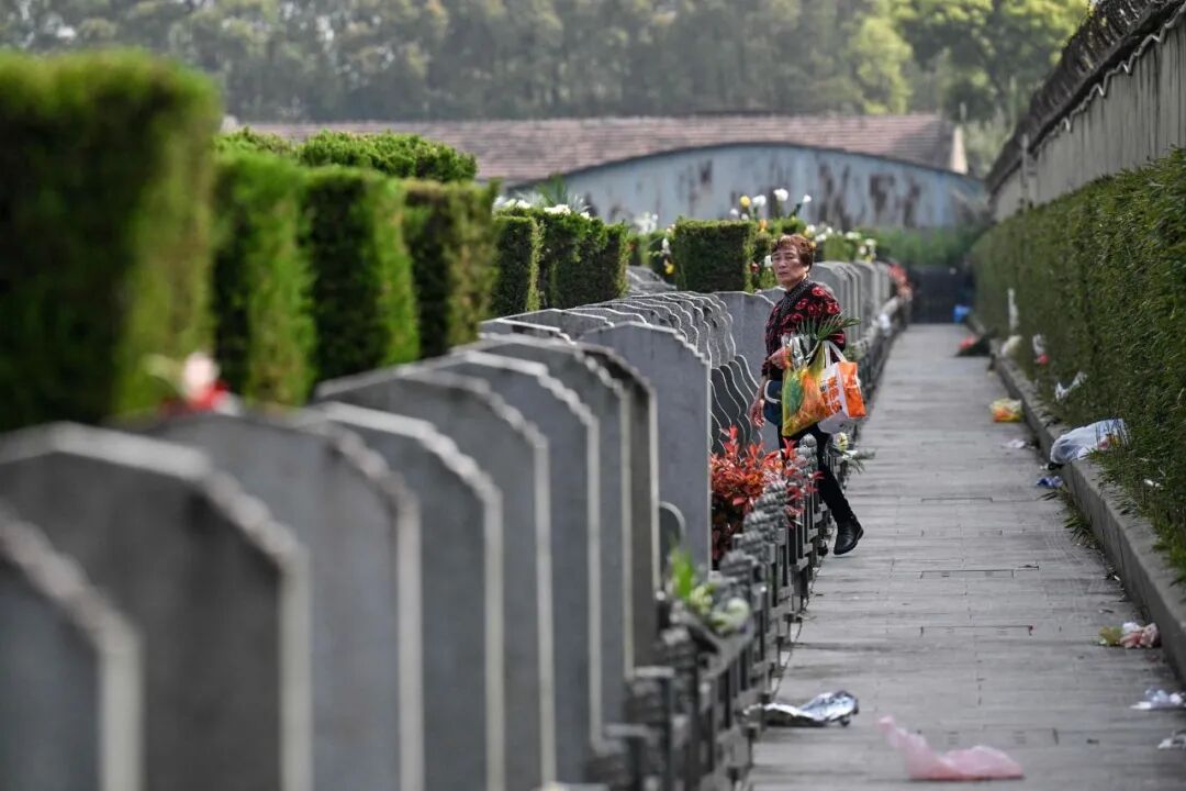 2026年清明节前夕，上海市民在公墓祭拜，图文无关。视觉中国 图