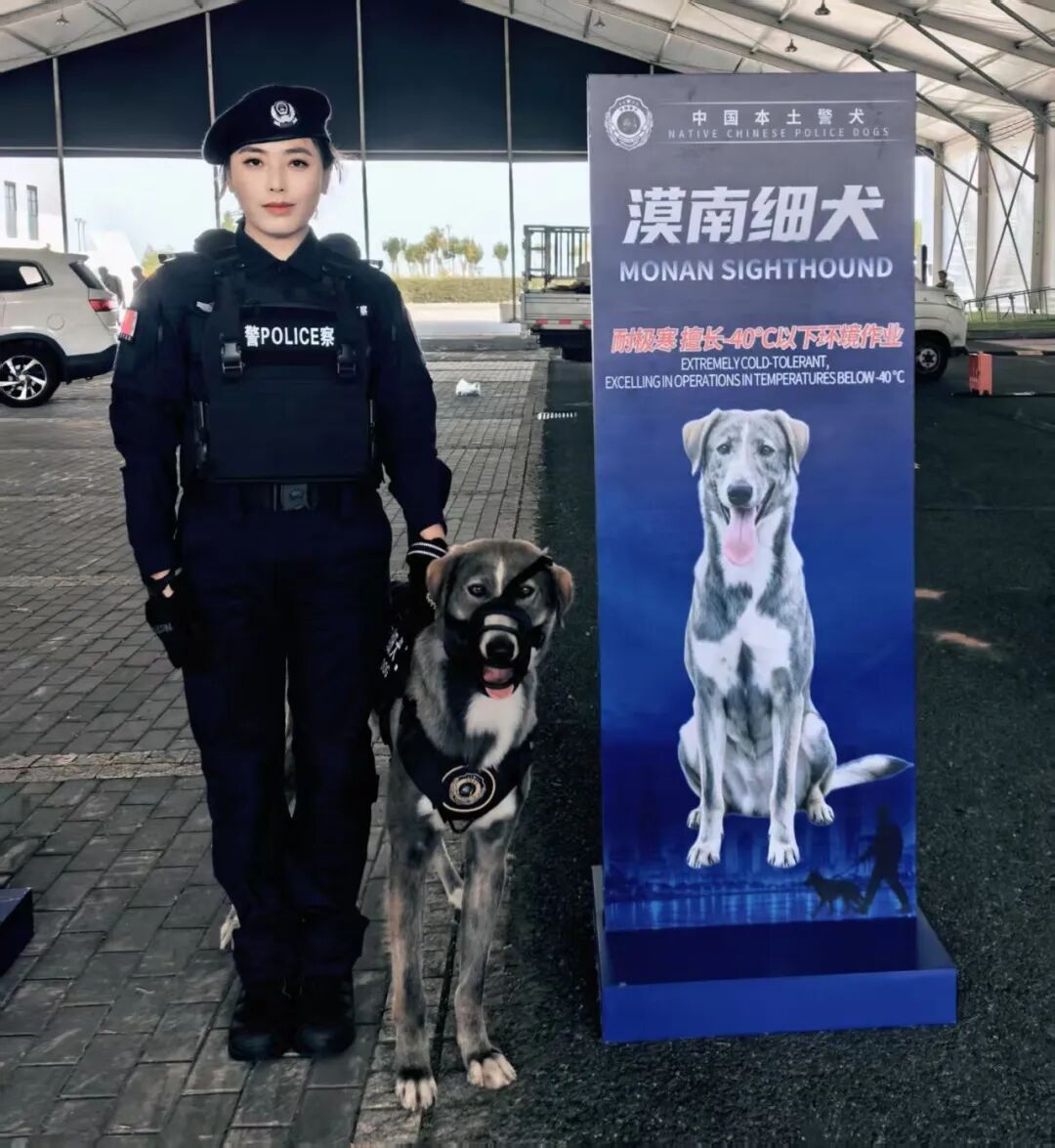 2026年9月，内蒙古呼伦贝尔市公安局警犬训导员刘萨茹拉和她带训的漠南细犬。（受访者｜供图）