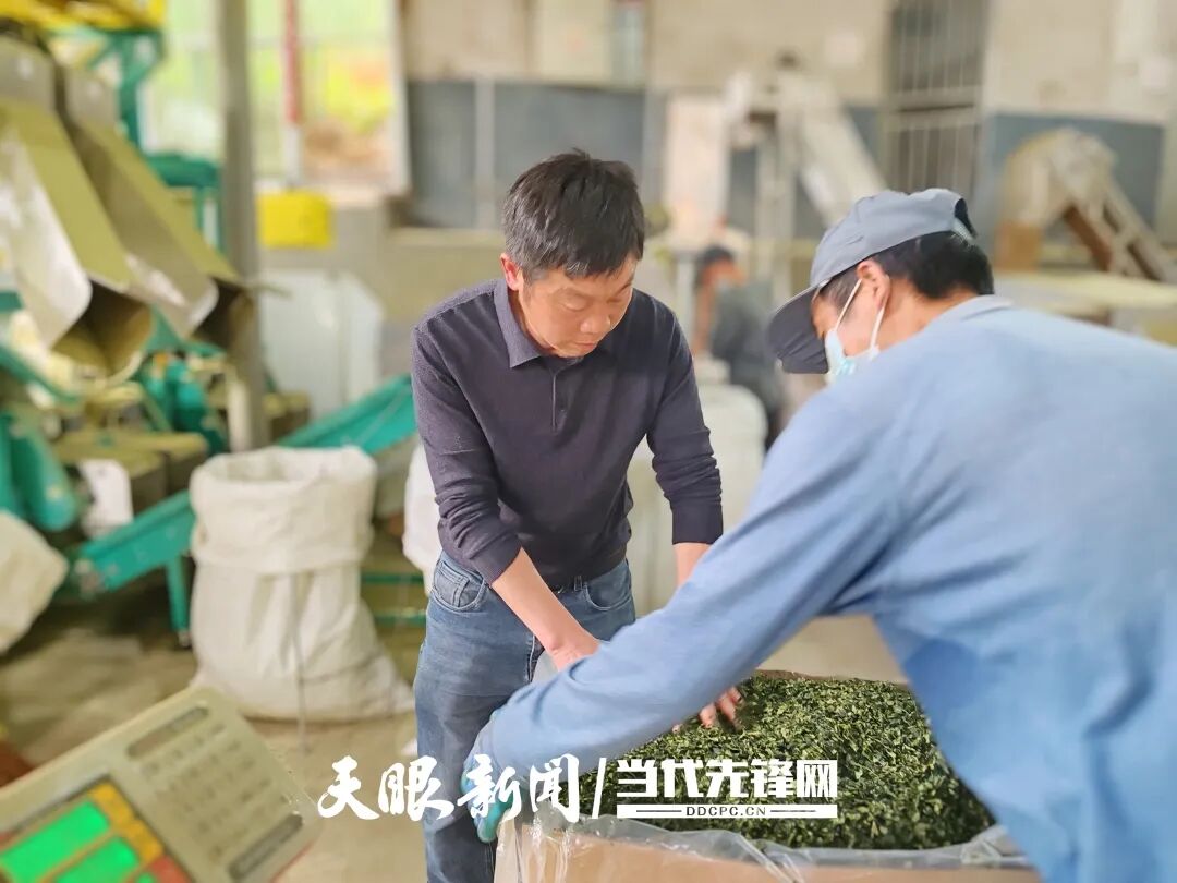 微信图片_20260531232204_1760_73.jpg