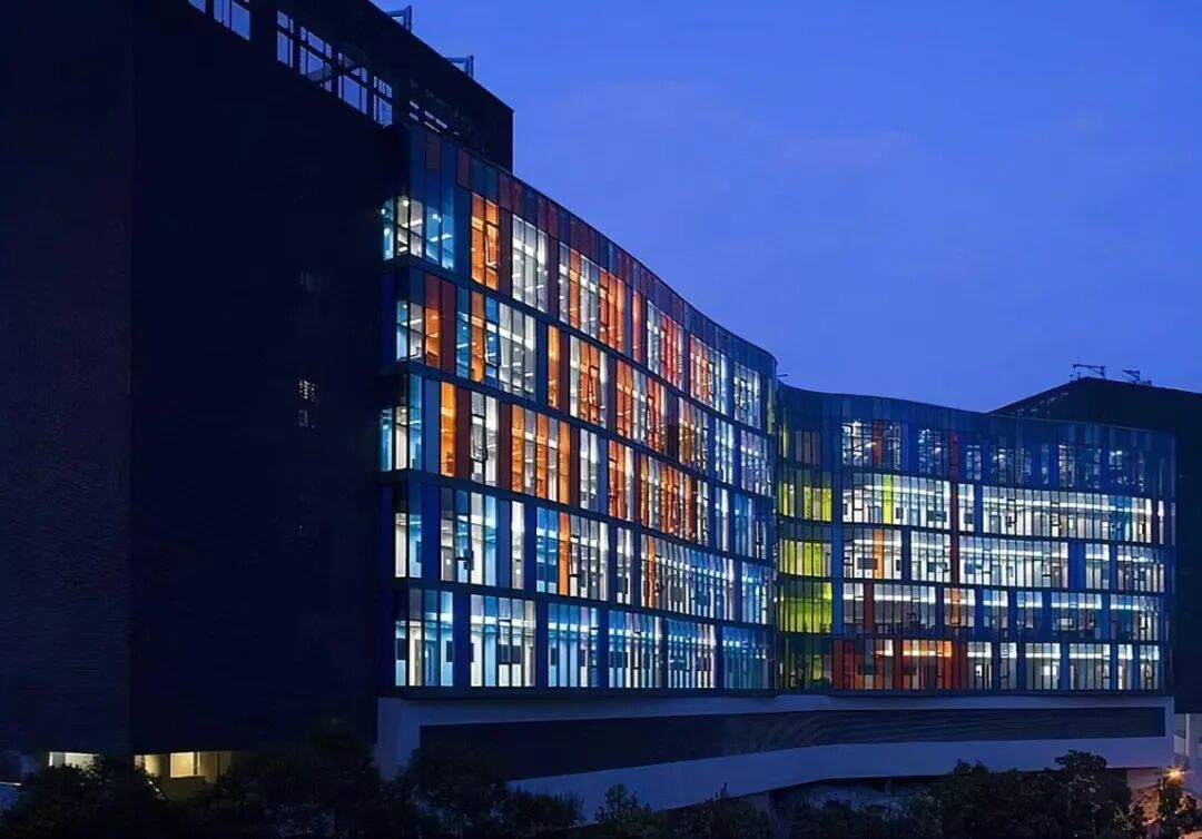 香港本科|香港中文大学本科申请干货(图5)