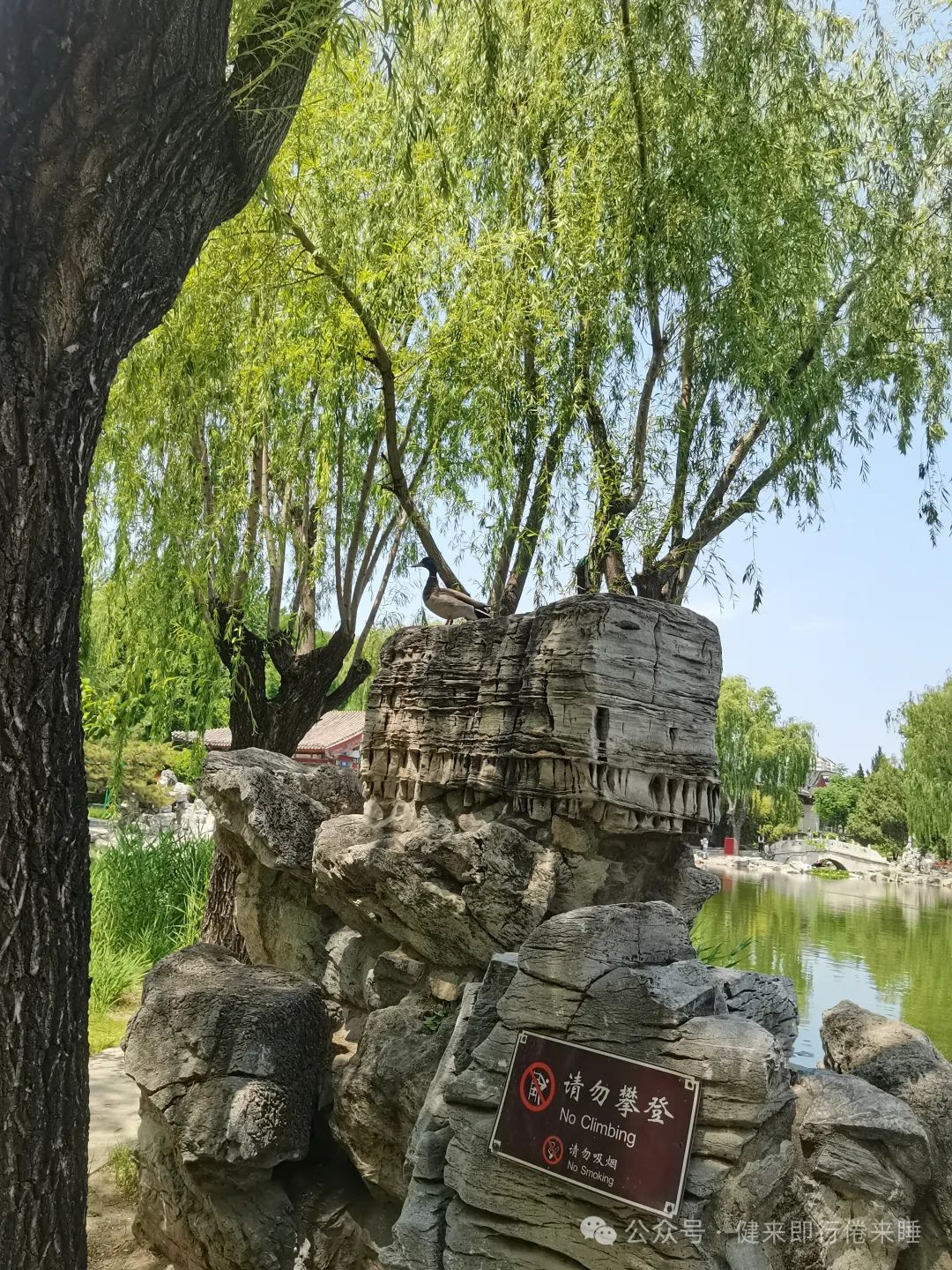 贾宝玉大观园所住地方