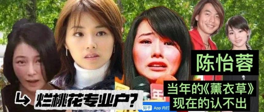 烂桃花专业户陈怡蓉,当年的《薰衣草》和现在的认不出,到底什么是幸福