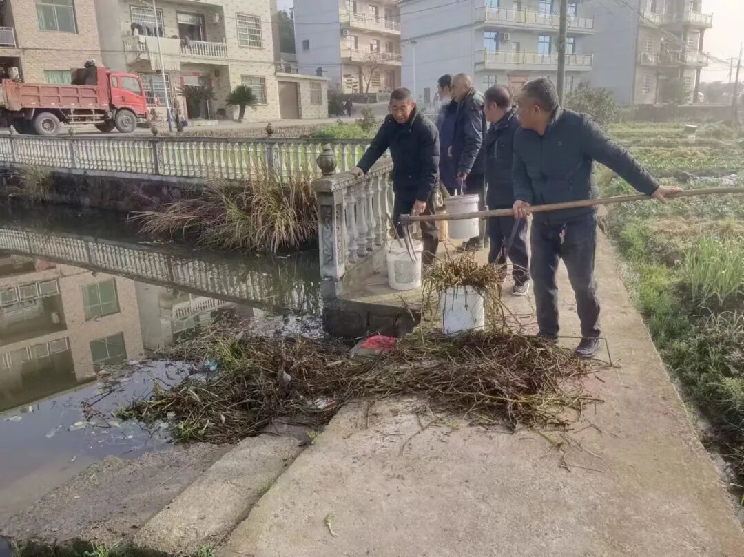 罗桥街道多点发力促乡村振兴