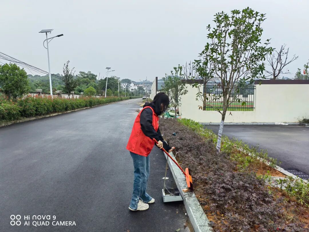 罗桥街道多点发力促乡村振兴