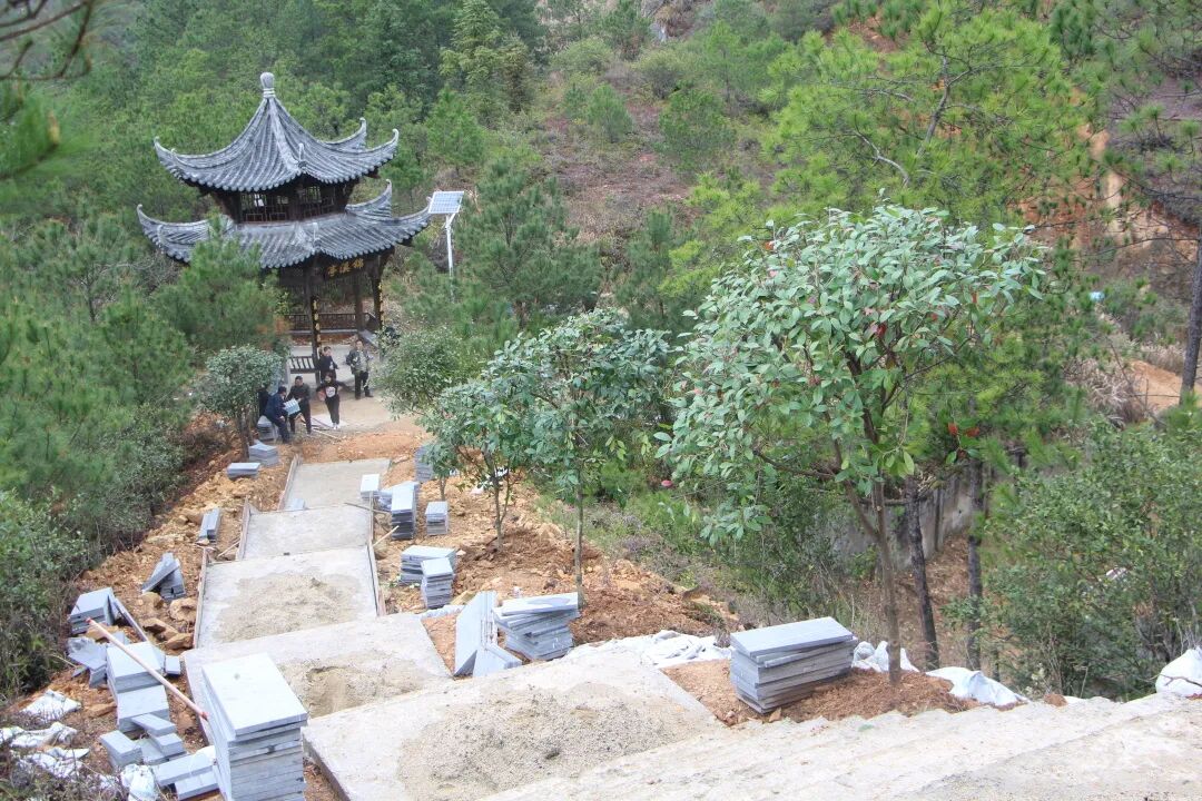 玉山县怀玉乡开展植树造林活动 _www.isenlin.cn