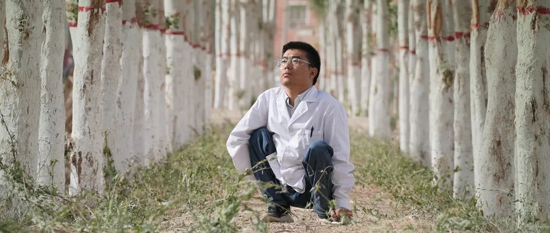 文章封面