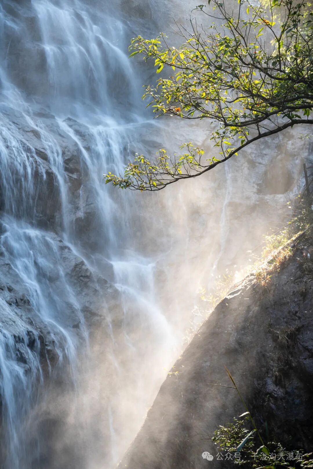图/千泷沟大瀑布景区