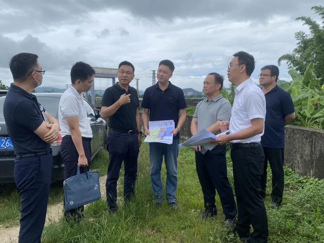 市国资委领导率队到新会大泽古井码头项目调研考察