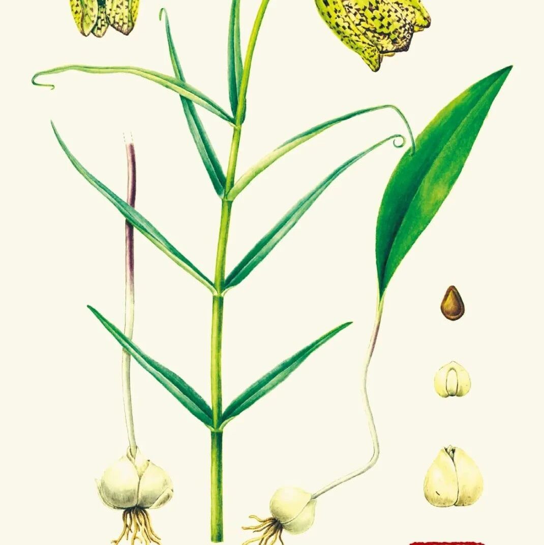 2022-09-30药事资讯