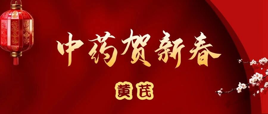 2024-02-19药事资讯