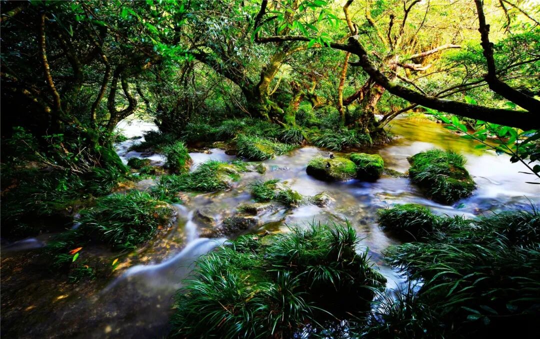 三岔河溪流_。.jpg
