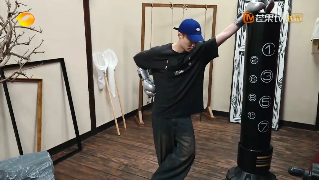 辛芷蕾马思纯向往合体！