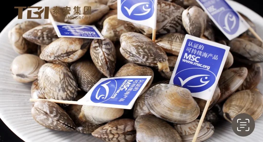 【优质展商】丹东泰宏食品有限公司——全球首个杂色蛤MSC认证企业(图7)