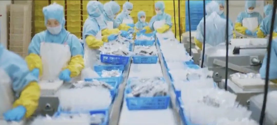 【优质展商】丹东泰宏食品有限公司——全球首个杂色蛤MSC认证企业(图2)