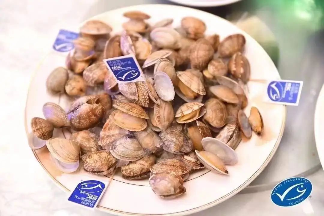 【优质展商】丹东泰宏食品有限公司——全球首个杂色蛤MSC认证企业(图6)