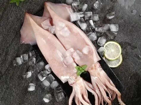 深海鱿鱼 深海鱿鱼详情页 生鲜水果美食素材_btpic-站酷ZCOOL