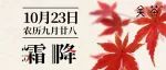 「关茶二十四节气录」霜降 | 秋意已暮，新冬将至