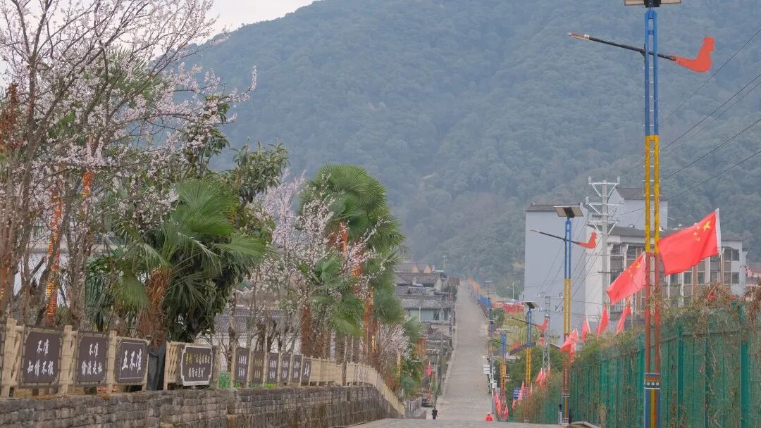 _边境村的定义_边境村建设