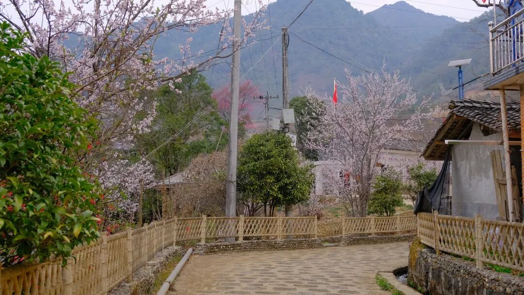 边境村的定义_边境村建设_