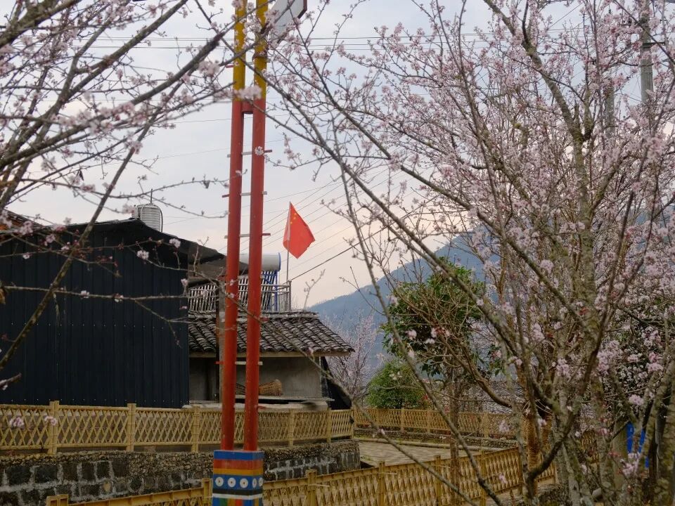 _边境村的定义_边境村建设
