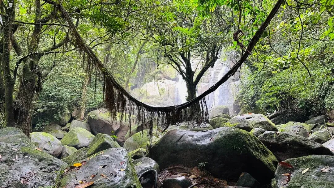古晋Travel Guide - Spots, Food, Stays and Routes